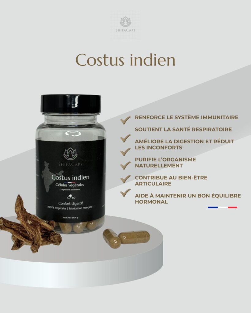 GÉLULES COSTUS INDIEN MOULE – Vitalité & Energie